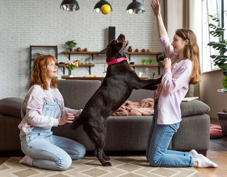 Breed Compliance and Risk Screening