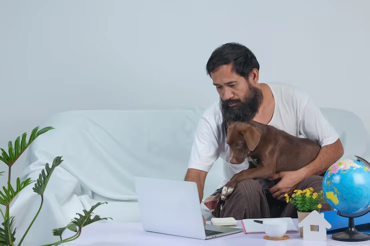 EU Health Certification and Documentation Control