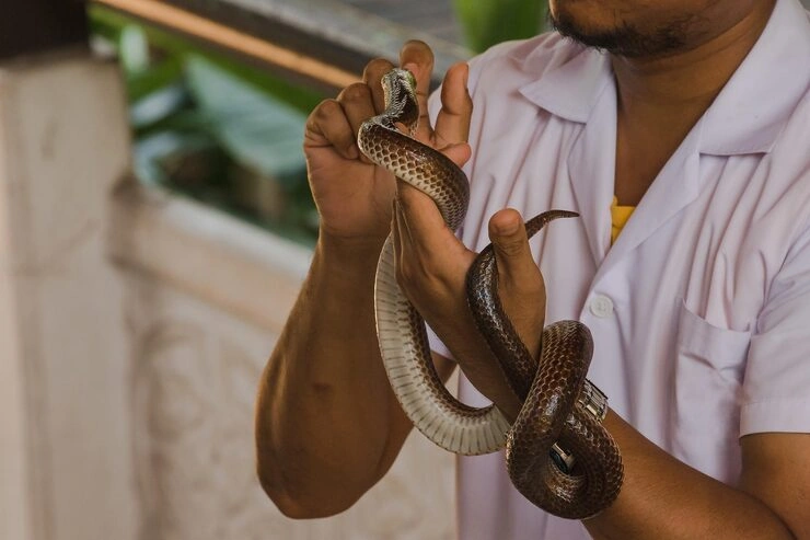 End-to-End Relocation Oversight