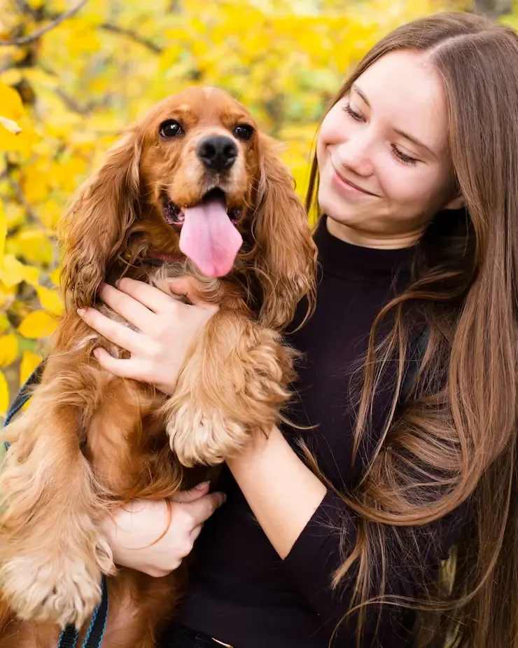 Health & Veterinary Oversight