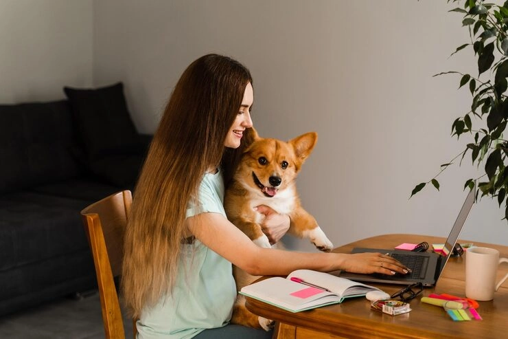 Multi-Dog and Breeder Relocation Solutions