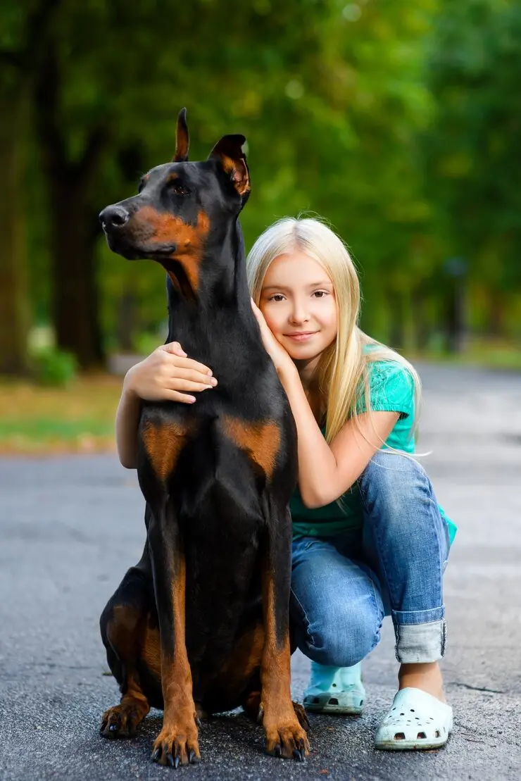 Pre-Export Compliance and Veterinary Sequencing​