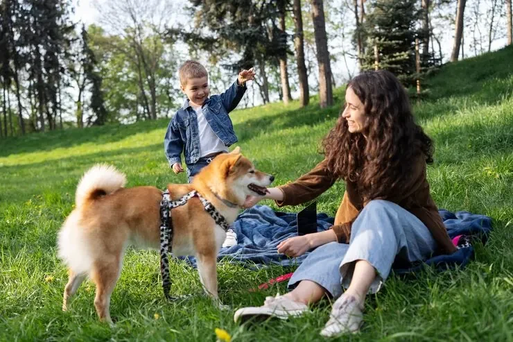 Why Choose Us for Diplomatic Pet Relocation Services From Canada to England