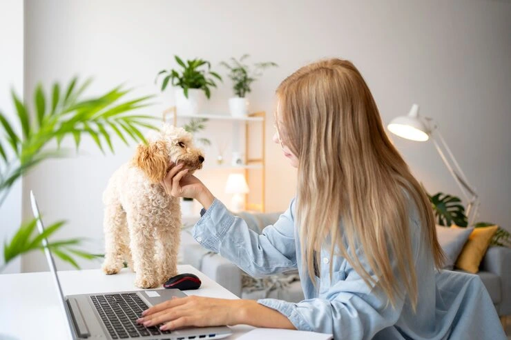 Why Choose Us for Show Dog Relocation Services From Canada to the UK